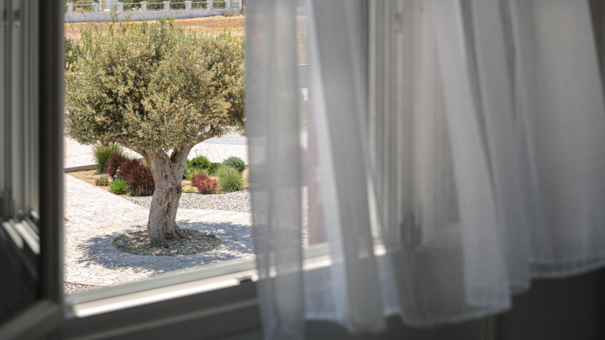 Olives Rocks Naxian Villas Αγία Άννα Εξωτερικό φωτογραφία