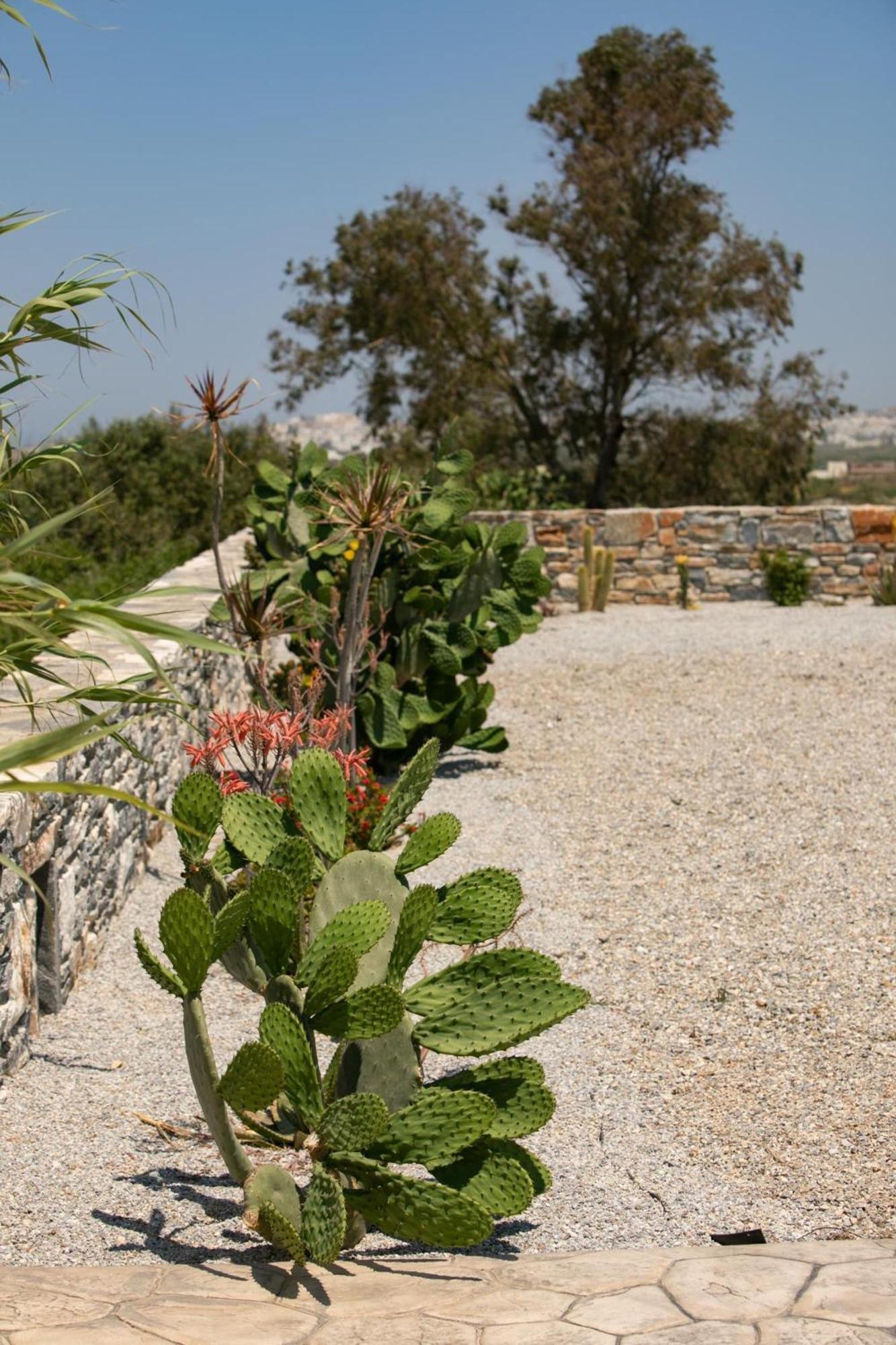 Olives Rocks Naxian Villas Αγία Άννα Εξωτερικό φωτογραφία