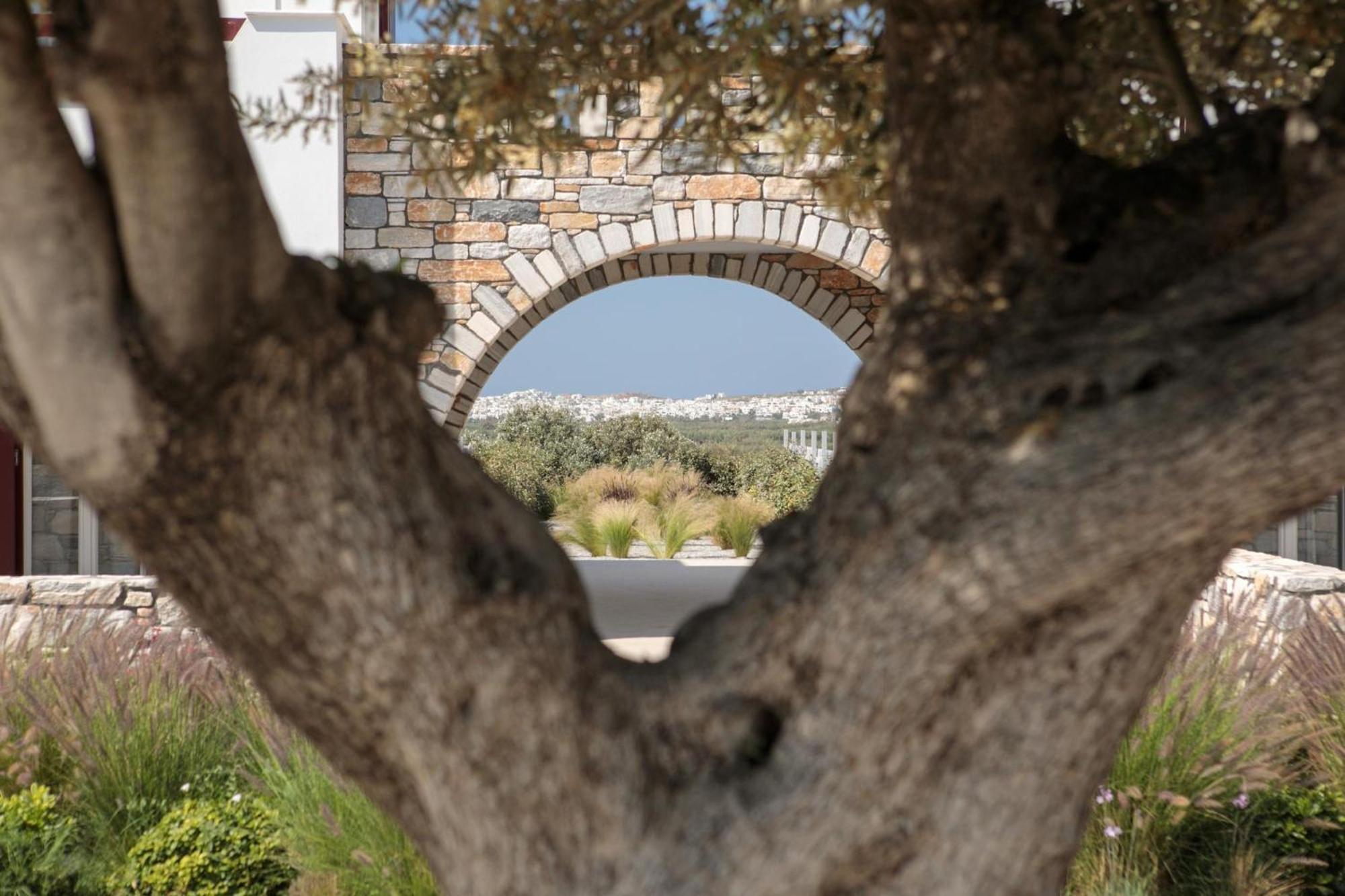 Olives Rocks Naxian Villas Αγία Άννα Εξωτερικό φωτογραφία