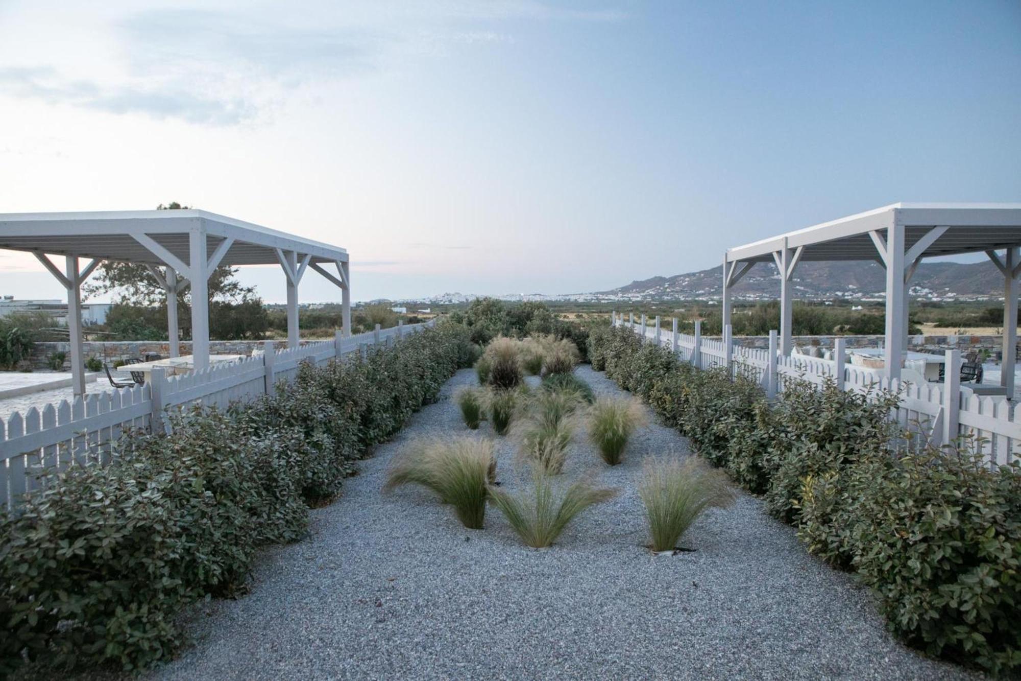 Olives Rocks Naxian Villas Αγία Άννα Εξωτερικό φωτογραφία